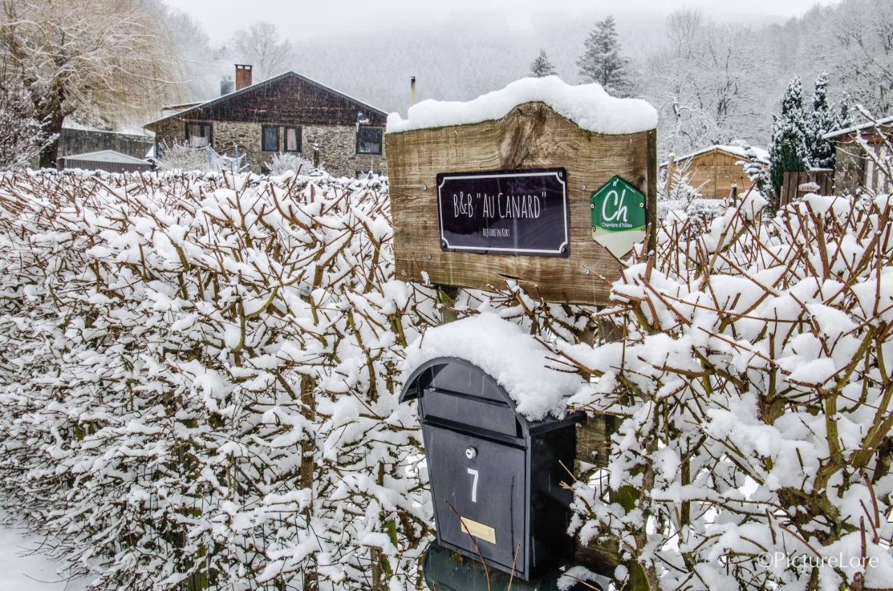 B&B Au Canard La-Roche-en-Ardenne Zewnętrze zdjęcie